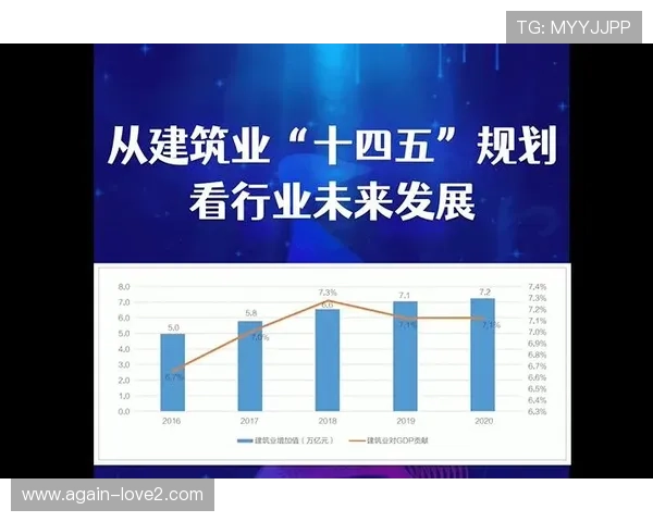 ag亚娱集团未来发展规划与投资布局,为投资者提供全面的行业前景分析 ag亚娱集团未来发展规划与投资布局,为投资者提供全面的行业前景分析